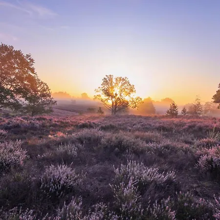 In Het Bos - Gezin - Wandelaars - Digital Nomads - Hs Wifi - Fijnspar 108 Aan de Wolfsberg