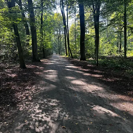 Apartment In Het Bos - Gezin - Wandelaars - Digital Nomads - Hs Wifi - Fijnspar 108